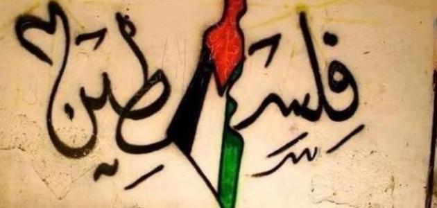 شعر عن فلسطين - اجمل شعر عن فلسطين 4779 1