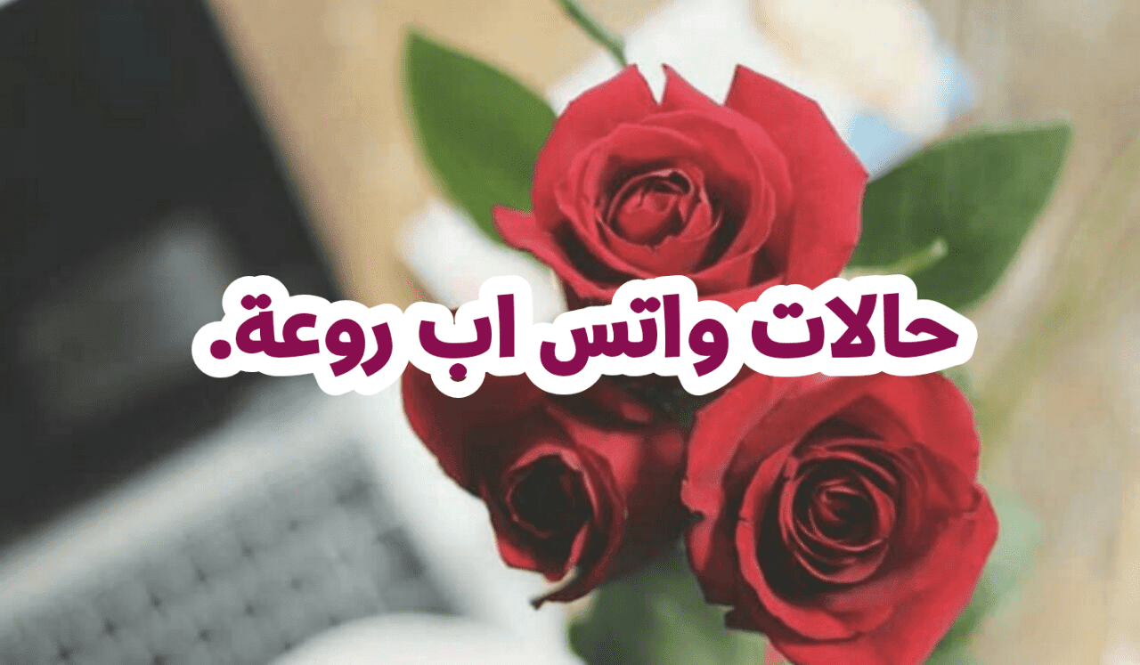 حالات واتس روعه ومعبره 3947