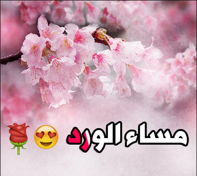 شعر مساء الخير - تغريدات اشعار مسائية جميلة 839 1