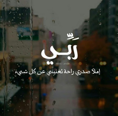 صور عرض فخمه 1142 8