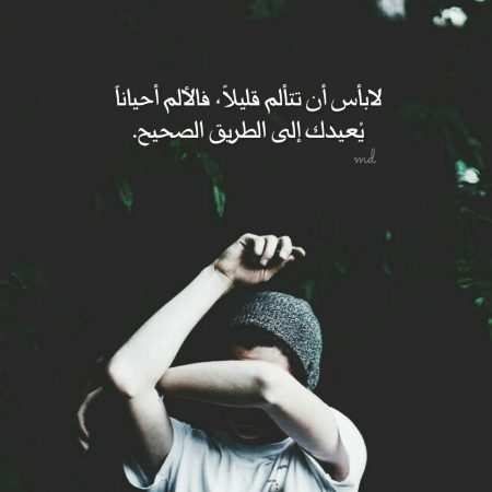 صور عرض حلوه 1031 2