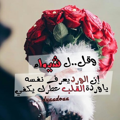 صور اسم شيماء - رمزيات وخلفيات لاسم شيماء 3370