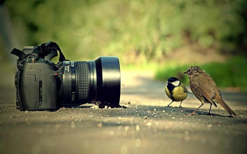 كيفية التصوير باحترافية-كيف تصبح مصورا محترفاً 14831