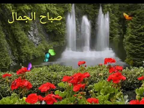 صباح الجمال - احلى صور لعبارات صباح الجمال 6167