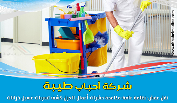 شركة تنظيف منازل افضل شركات التنظيف المنزلى افضل- التنظيف- المنزلى- تنظيف- شركات- شركة- منازل 755 12