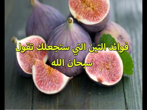 فوائد التين - طرق الاستفاده من التين 4426 1