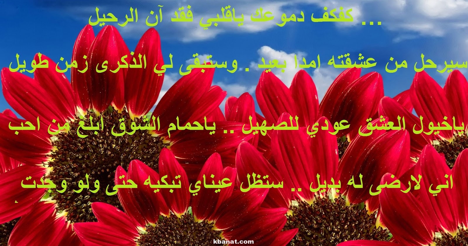 رسائل حب ساخنة جزائرية - اجدد الصور لحب جامد 631 2