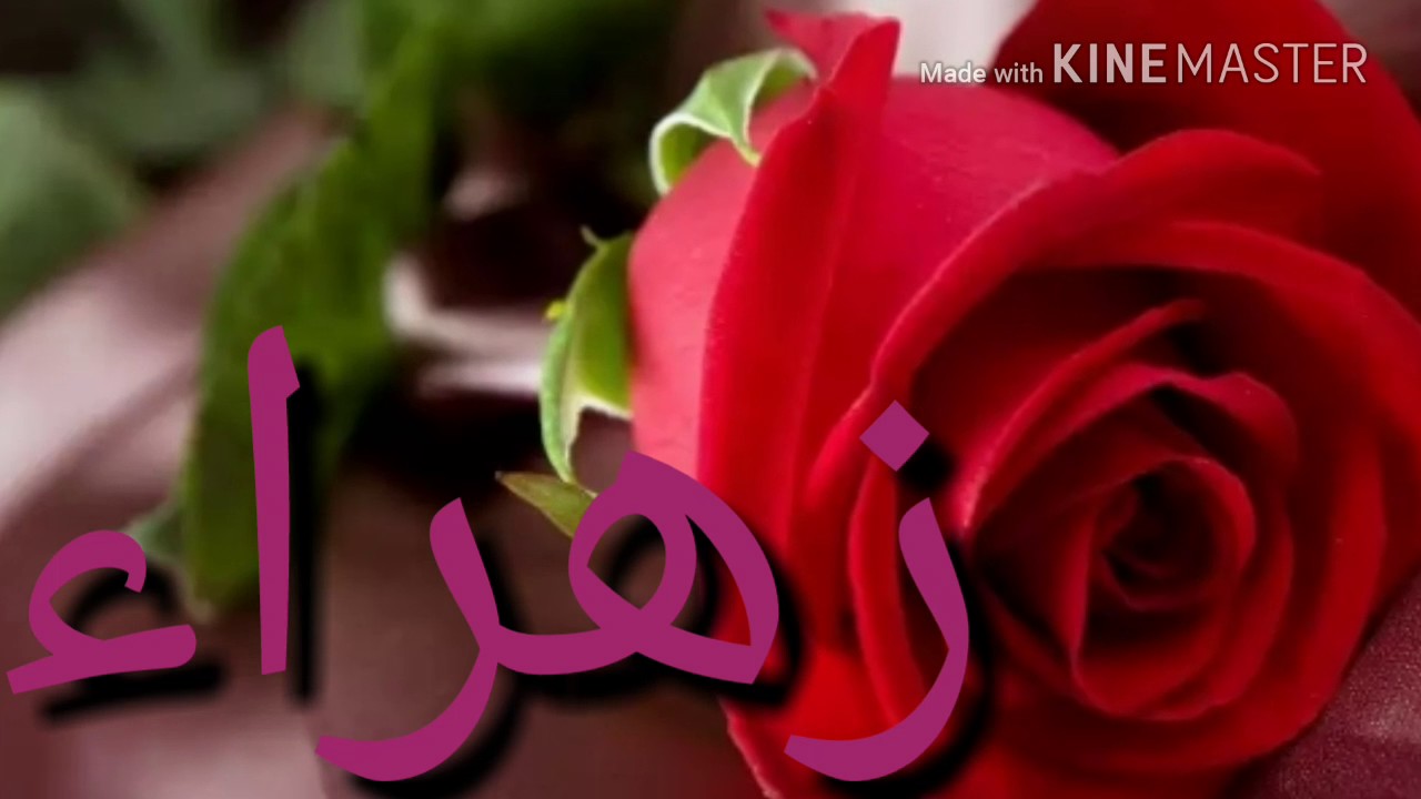 معنى اسم زهراء