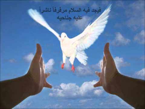 صور عن السلام - اجمل صور عن السلم والسلام 2202 2