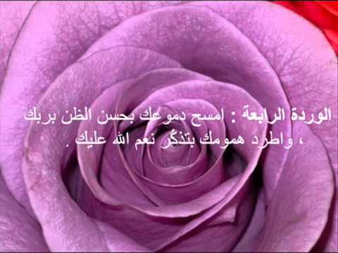 حكم عن الورد - خواطر وعبارات عن الورد 6658 1