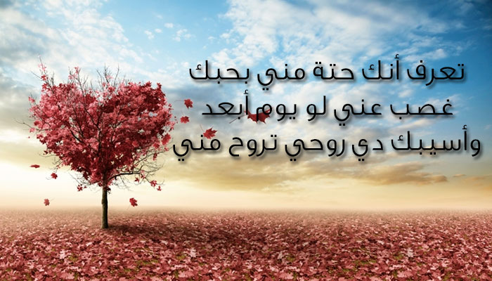 اشعار قصيرة عن الحب 799 6