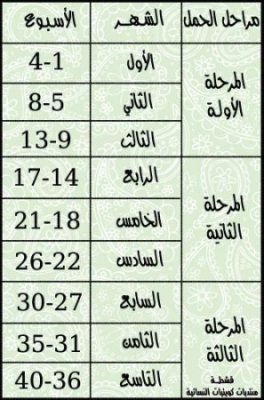 حاسبة الحمل والولادة - حساب وتحديد موعد الولادة 4214 1