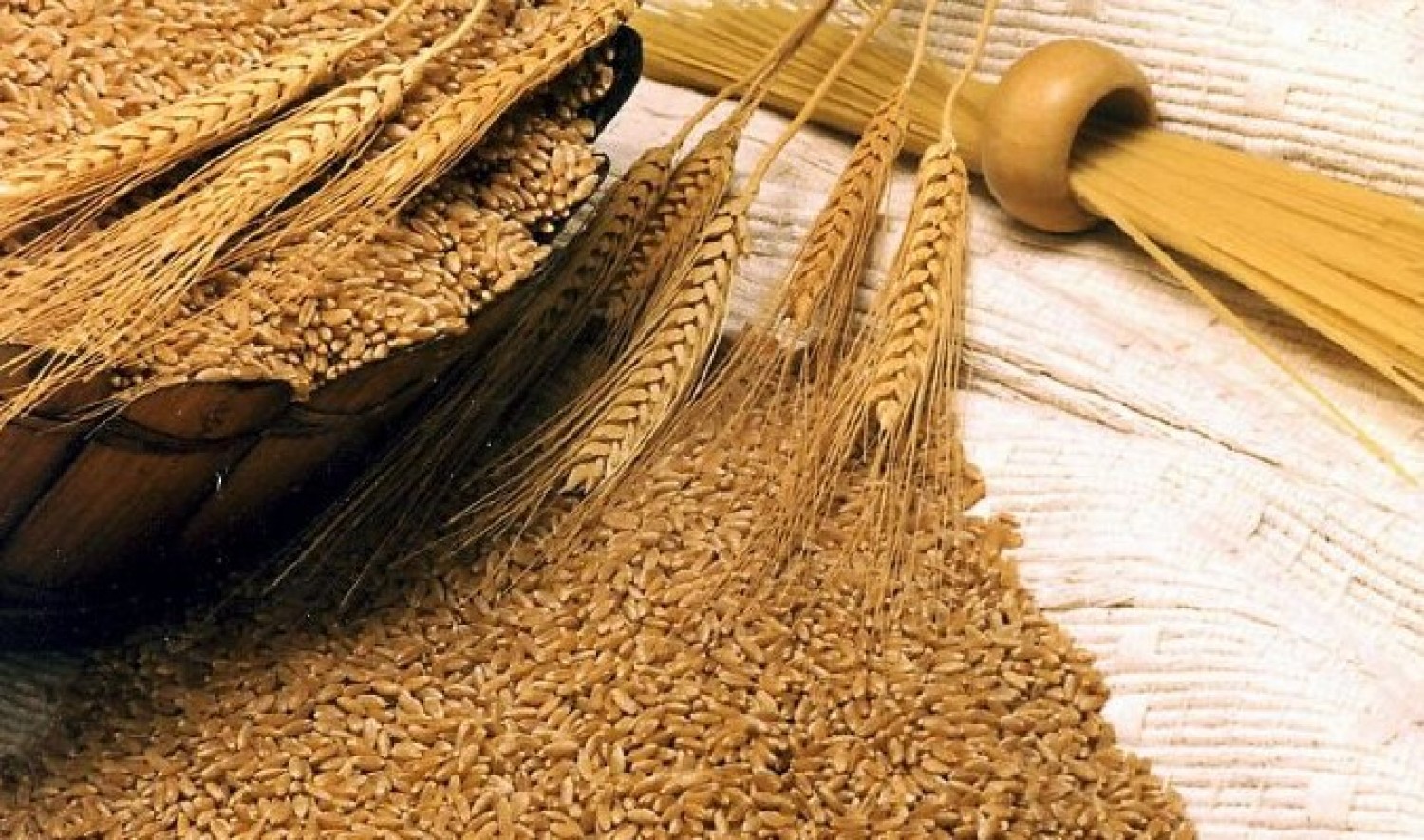 الفرق بين الحنطة والقمح , مقارنةسهله ما بين الحنطة والقمح