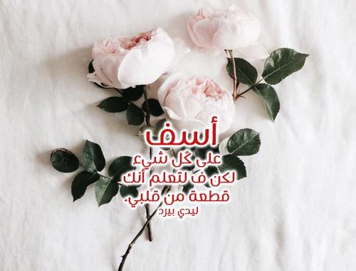 صور اعتذار للحبيب - اجمل صور اعتذار للحبيب 6224 7