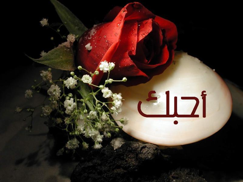 صور في الحب - ذكريات وكلمات باجمل الصور للاحبه 356