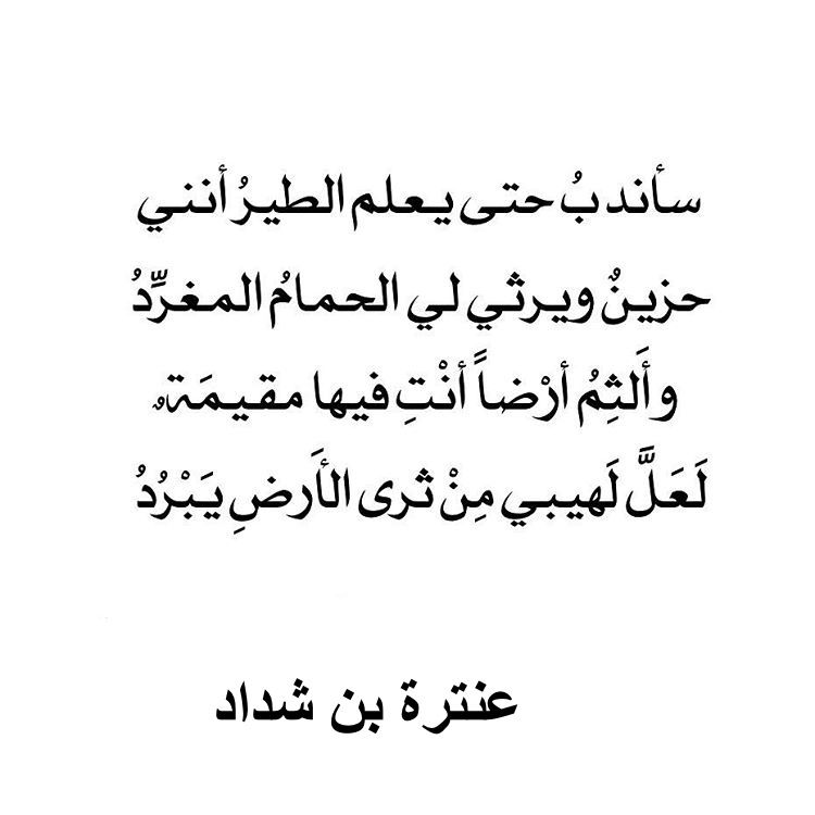 شعر عربي فصيح - اجمل ابيات الشعر العربي الفصيح 2593 8