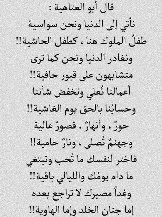 شعر غزل جاهلي 895 5