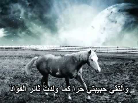 شعر عن الخيل - ابيات شعريه عن الجواد 1525 9