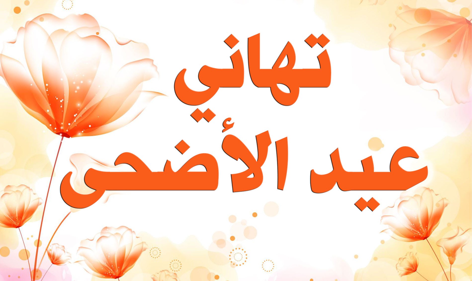 صور عن عيد الضحى - عيد الاضحى وبهجته و سروره 332 5