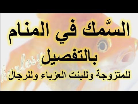 روية السمك في المنام- يعني ايه مشاهده السمك في الحلم 12331 1