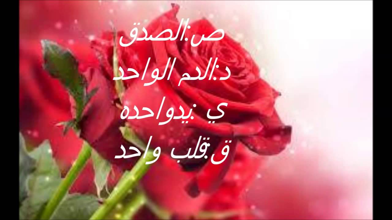 شعر عن الاخوة والصداقة - كلمات شعريه عن الاخوات والاصدقاء 1478 2