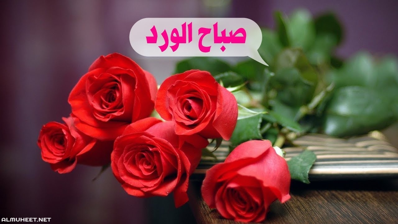 احلى صباح لاحلى ناس 3696 4