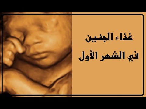 تغذية الحامل في الشهر الاول - انواع الغذاء للحامل في الشهر الاول 4972 1