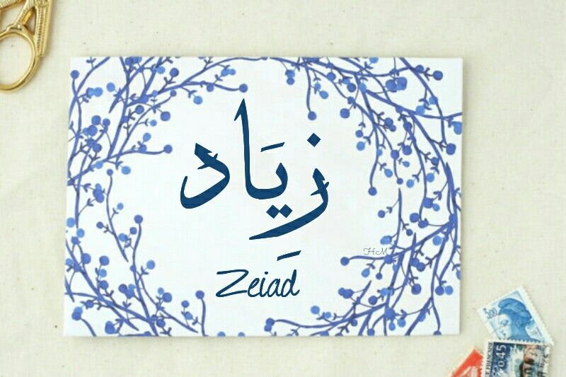 معنى اسم زياد - تفسير ومعانى مختلفه لاسم زياد 4410