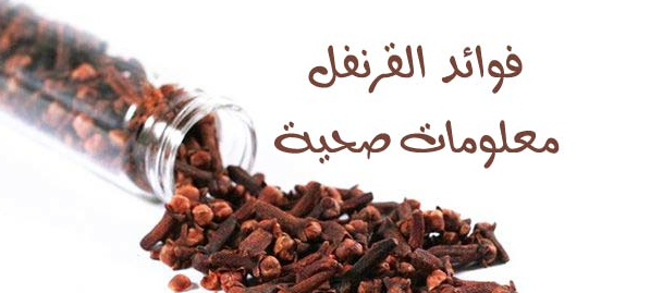 فوائد القرنفل - تعرف على فوائد القرنفل 6022