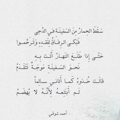 شعر هجاء - شعر هجاء جميل 3553 11