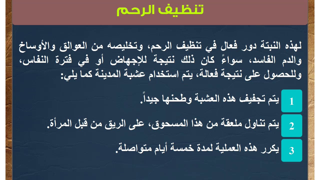 عشبة المدينة للاجهاض - الشجره السحريه وكيف نستفيد منها 270 1