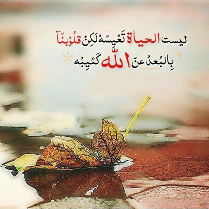 صور اسلاميه 1017 12