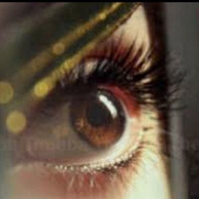 عيون الريم - غزال الريم وعيونة الجميلة الجميلة- الريم- عيون- غزال- وعيونة 806 3