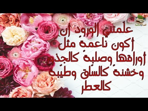 حكم عن الورد - خواطر وعبارات عن الورد 6658 5