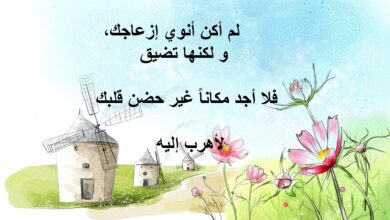 رسائل غرام- كلام عن الحب والغرام 6739 3