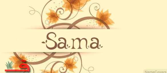 معنى اسم سما - معنى اسم سما من القاموس اسم- القاموس- سما- معنى- من 3507 1