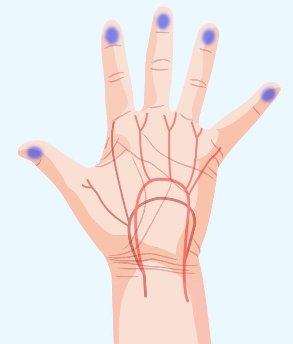 الاصبع في المنام - معرفة وتفسير لاصبع في المنام الاصبع- المنام- في- لاصبع- معرفة- وتفسير 11738 1