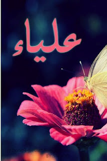 معنى اسم علياء - ما نوع اسم علياء 3238