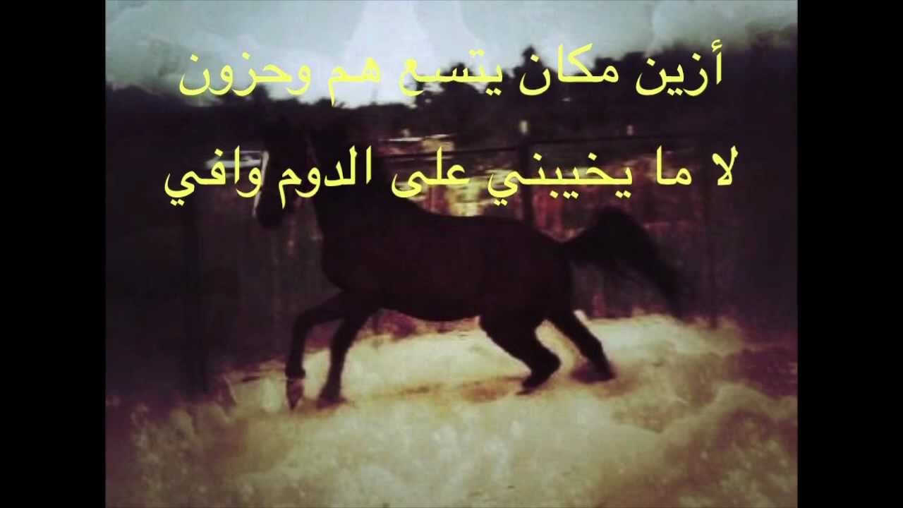 شعر عن الخيل - ابيات شعريه عن الجواد 1525 4