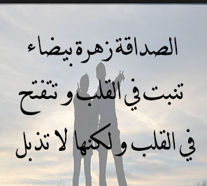 كلمات عن الصداقة 3922 1