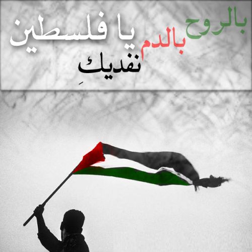 شعر عن فلسطين - اجمل شعر عن فلسطين 4779 2