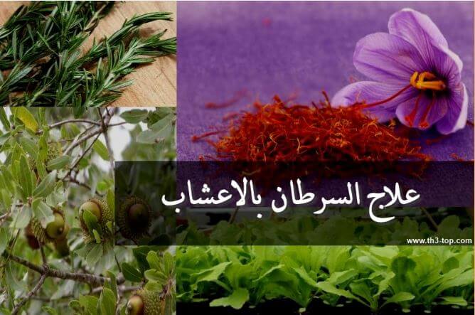 علاج السرطان بالاعشاب - افضل طرق علاج السرطان بالاعشاب 5938