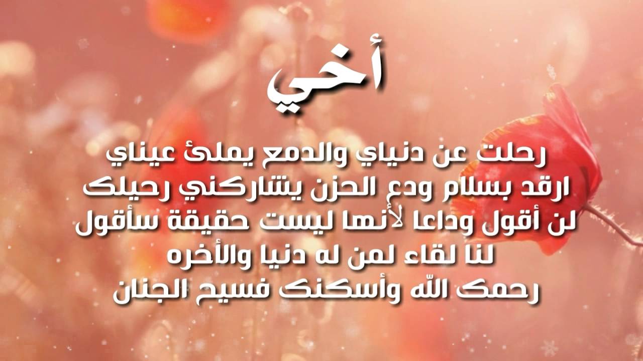 شعر قصير عن الاخ - الاخ هو السند واجمل الكلمات عنه 429 10