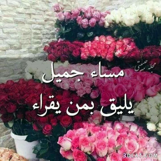 اجمل مساء الخير 5384 2