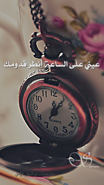 صور عرض حلوه 1031