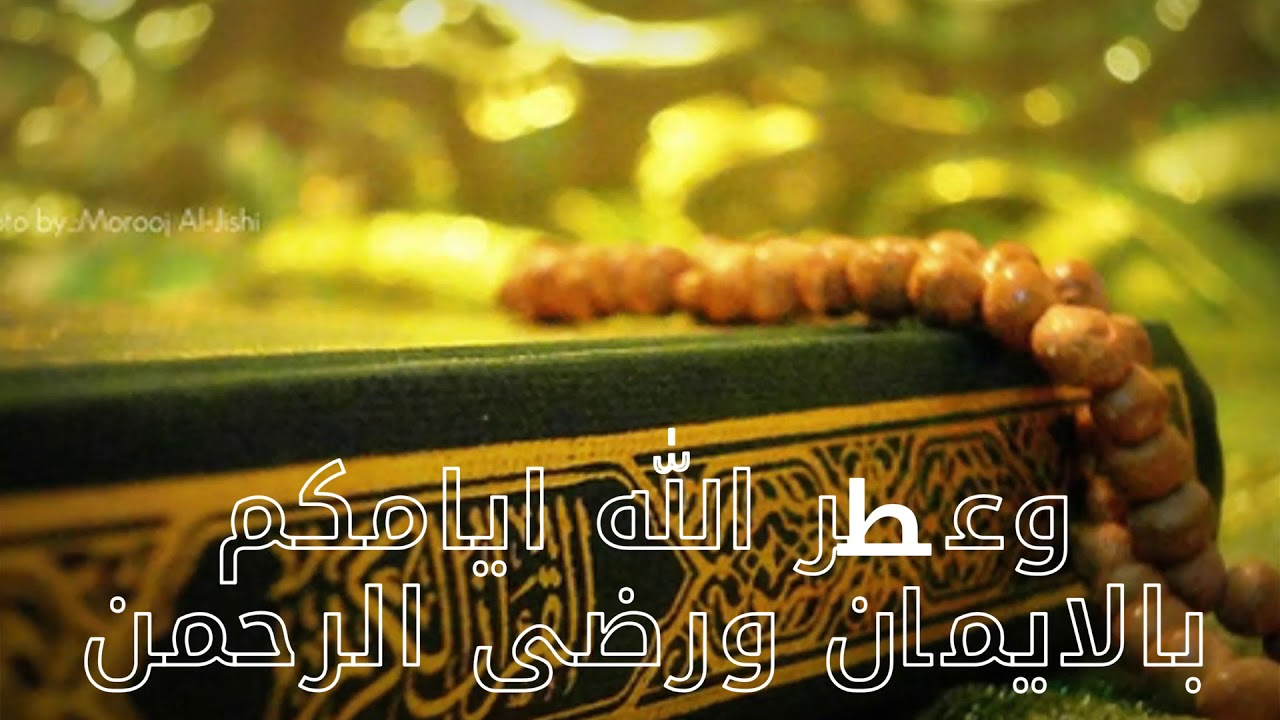 خلفيات جميلة للواتس اب - اجدد الصور والخلفيات للواتساب 585 3