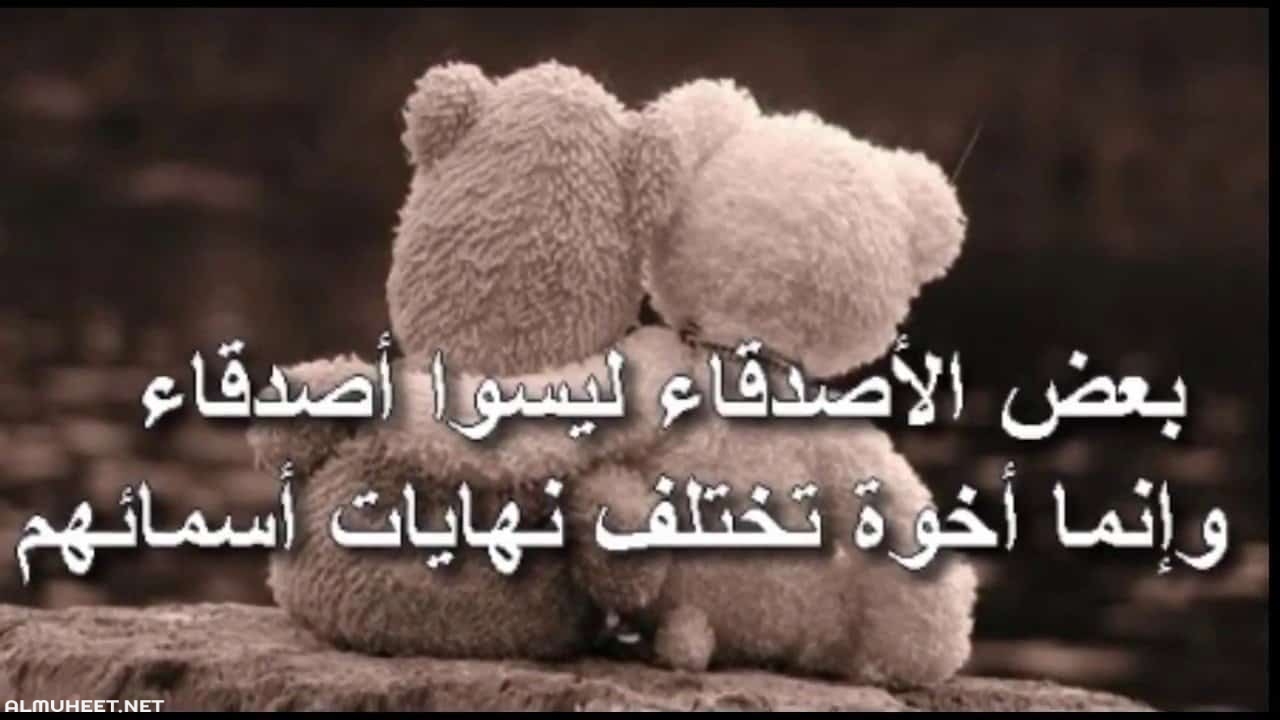 كلمات عن الصداقة 3922 7