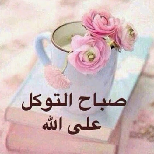 صورصباح الخير جديده - اجدد صور صباح الخير 2249 7