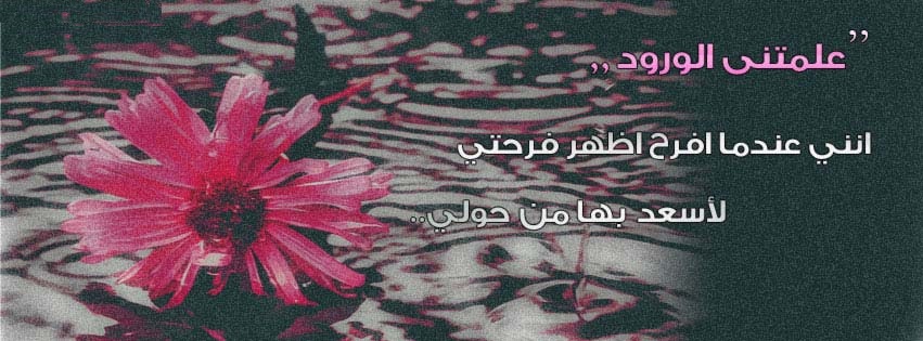 كلمات عن الورد - الورد واجمل ماقيل فيه 2496