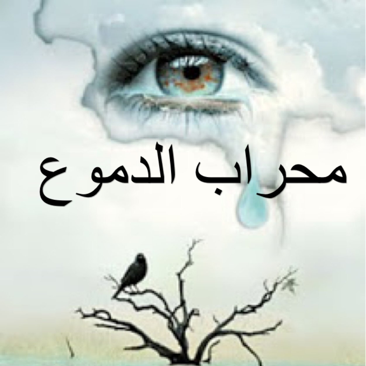 كتر الكلمات عن الحزن لكن بجد مشوفتش اروع من الكلمات دي - حزن ودموع 5368